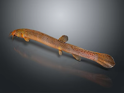 Aquatic Animal with Brownish Yellow Slender Body Spots Whiskers on Reflective Surface 3d model