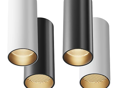 Modern Contemporary Downlights Spotlights With Black White Gray Finish And Warm Light For Interior Lighting 3d model