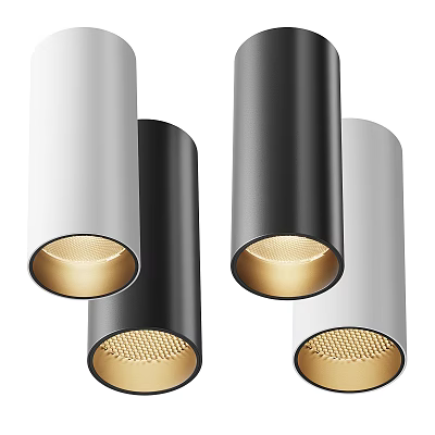 Modern Contemporary Downlights Spotlights With Black White Gray Finish And Warm Light For Interior Lighting 3d model