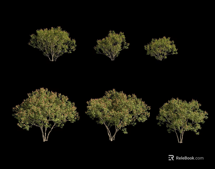 Green Foliage Arbor Trees in Various Sizes Displayed on Black Background 3d model