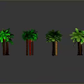 Green Palm Trees With Various Sizes And Shapes As 3D Models On Gray Background