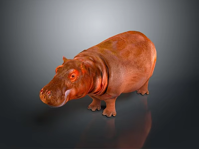 3D Model Brown Hippo with Smooth and Shiny Skin and Gradient Gray Background 3d model
