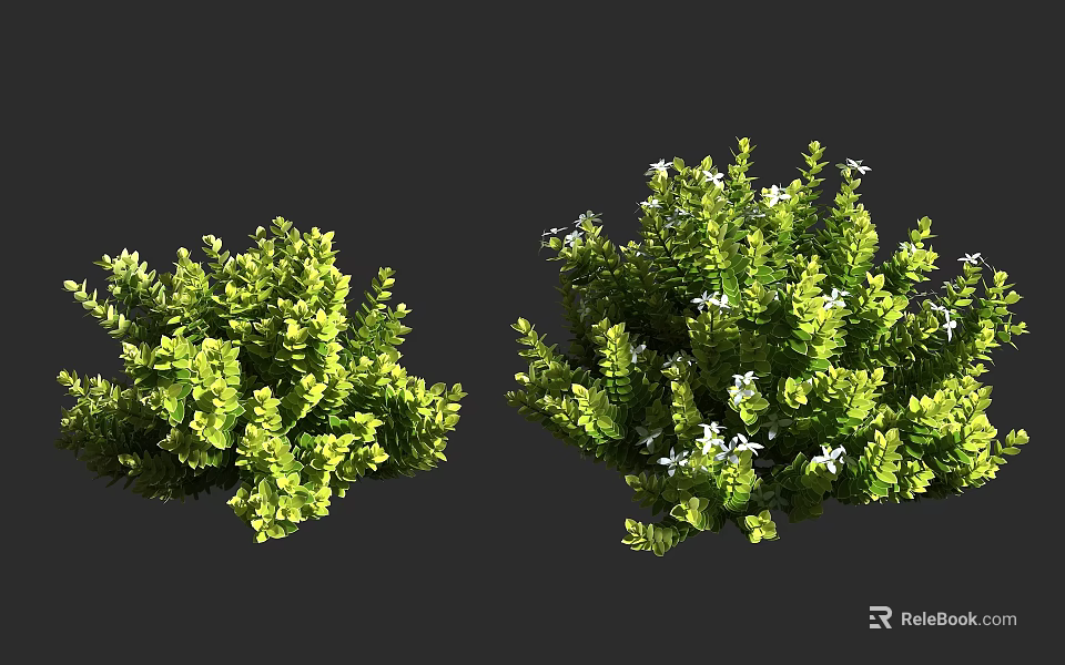 Lush Green Shrubs With Dense Foliage And Small White Flowers 3d model 
