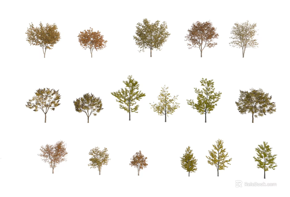 Various Arbor Trees with Different Foliage Colors Sizes and Shapes 3d model