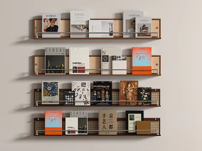 Stylish Modern Bookshelf with Neatly Arranged Various Colorful Books and Magazines 3d model