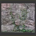 Natural Rock Surface With Lush Green Plants And Moss Growing On It