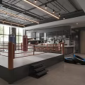 Modern Fitness Training Gym With Boxing Ring Tires Open Space And Bright Window Lighting