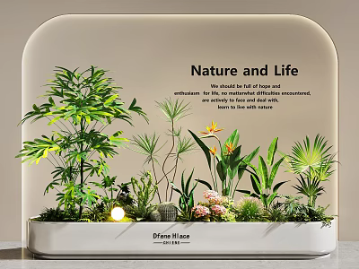 Indoor Nature and Life Landscape With Lush Green Plants Tropical Flowers And Stones 3d model