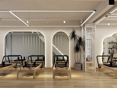 Bright Fitness Studio With Pilates Reformers Arched Mirrors And Plants 3d model