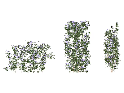 Lush Green Vine With Purple Flowers In Natural Climbing Growth Form 3d model