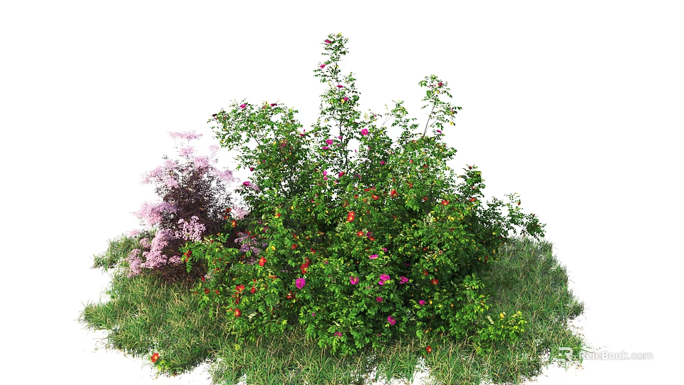 Vibrant Shrubs With Colorful Flowers And Green Leaves Growing In Grass 3d model 