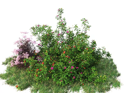 Vibrant Shrubs With Colorful Flowers And Green Leaves Growing In Grass 3d model