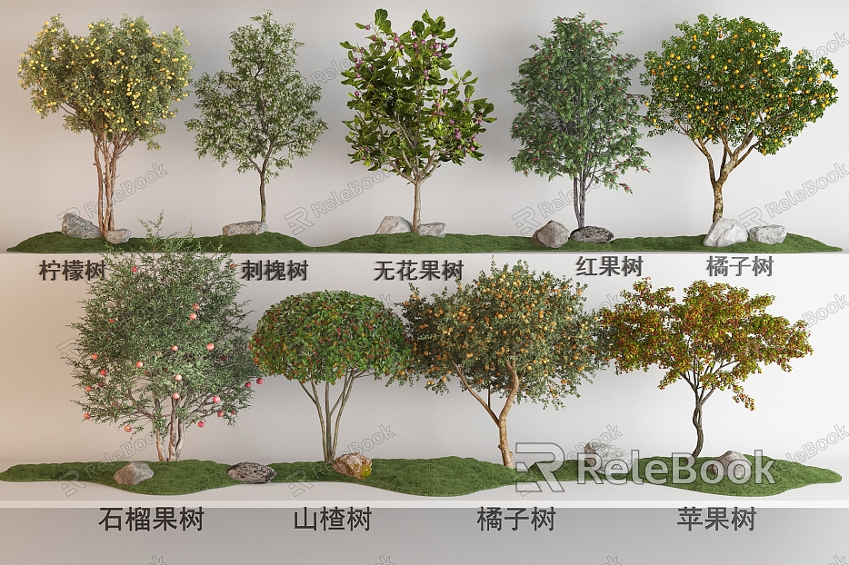 Fruit Tree Plant Combination Lemon Tree Locust Tree Fig Tree Pomegranate Tree Hawthorn Tree Orange Tree Apple Tree Red Fruit Tree Fruit Tree model