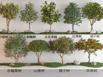Fruit Tree Plant Combination Lemon Tree Locust Tree Fig Tree Pomegranate Tree Hawthorn Tree Orange Tree Apple Tree Red Fruit Tree Fruit Tree 3d model