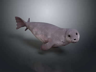 High Quality 3D Seal Character Model With Realistic Gray Color And Detailed Features 3d model