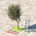 Olive Tree Arbor with 1.8m Height Standing on Outdoor Gray Tile Paved Ground 3d model