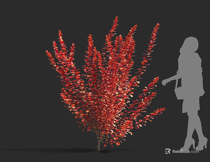 Red Leafy Shrub With Silhouette Of A Woman Standing Beside It 3d model 