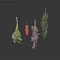 Fresh Various Herbs With Green Leaves And Red Berries Arranged