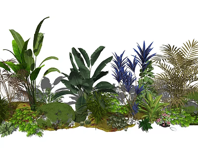 Lush Garden With Various Tropical Plants Colorful Flowers And Green Foliage 3d model