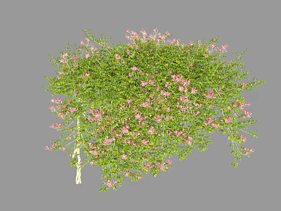 vine flower green plant 3d model