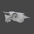 Detailed White Cow Skull With Curved Horns On Dark Background