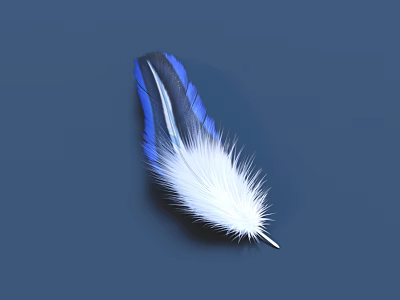 Blue And White Feather Decorative Household Item With Soft Texture For Daily Use 3d model