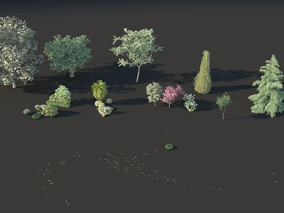 Coniferous Broadleaf And Flowering Trees With Diverse Shapes Foliage And Sizes For Landscape Design 3d model