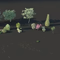 Coniferous Broadleaf And Flowering Trees With Diverse Shapes Foliage And Sizes For Landscape Design