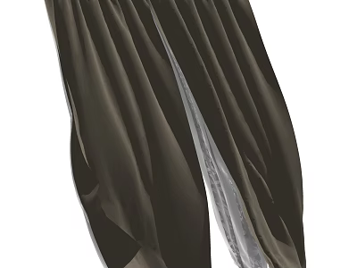 Dark Brown Pleated Curtains With Sheer Transparent Layer And Elegant Drapes 3d model