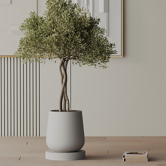 Modern Potted Plant 3d model