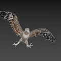 Brown Flying Eagle With Spread Wings And Yellow Talons In Dark Background 3d model