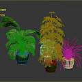 Lush Indoor Potted Plants With Various Green Leaves In Green And White Decorative Pots