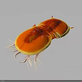 Vibrant Orange Yellow Small Animal With Red Spikes And White Cilia Legs On Gray Background