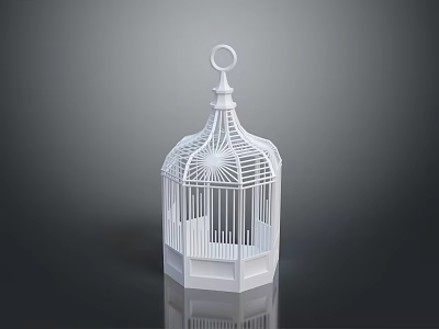 White Birdcage With Delicate Openwork Structure And Hexagonal Base On Reflective Surface 3d model