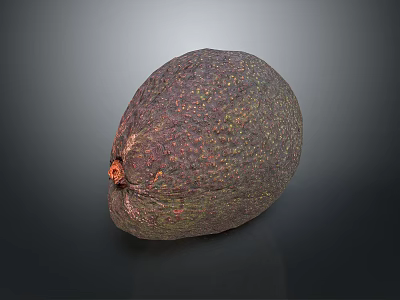 Fresh Ripe Avocado With Dark Green Textured Skin And Brown Stem 3d model