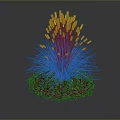 Green Grass Like Plant With White Spikelets And Brown Mulch On Dark Background