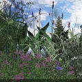 Vibrant Garden Flowers And Lush Green Plants With Pink Purple Blooms And Butterflies