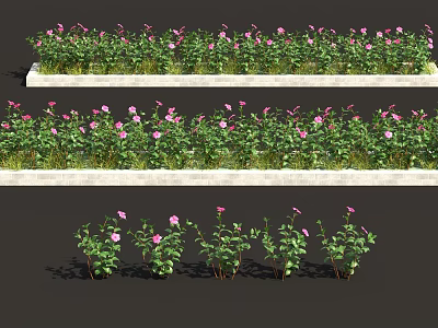 Three Tiered Flower Planting Beds With Pink Flowers And Green Plants 3d model