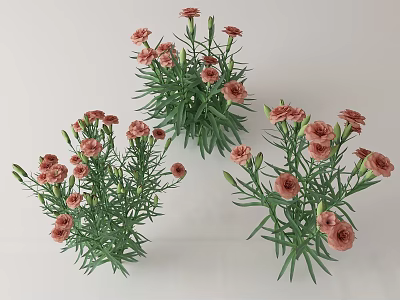 Fresh Pink Carnations With Green Stems And Leaves In Multiple Bouquets 3d model