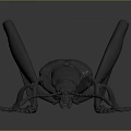 Black Insect Metal Sculpture With Detailed Artistic Design And Lifelike Features