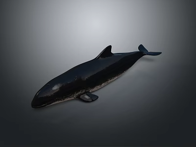 Realistic Black Whale 3D Model Rendering Isolated On Gray Background With Detailed Features 3d model