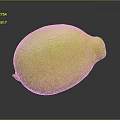 Fresh Ripe Yellow Lemon with Smooth Vibrant Skin and Reflection on Dark Background