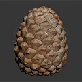 Orange Brown Pine Cone With Scaly Texture Isolated On Dark Background 3d model