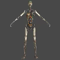 Smart Robotic Machine With Mechanical Structure Articulated Metal Limbs And Futuristic Design