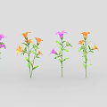 Vibrant Colored Flowers With Green Leaves Arranged Neatly Against Grey Background