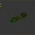 Realistic 3D Character Model Of Brown Ant With Detailed Insect Features