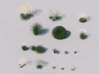 Various Green and White Grass 3D Models with Different Shapes and Heights on Gray Background 3d model