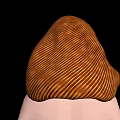 Game and Movie Character With Orange Yellow Wavy Long Hair No Facial Features Black Background