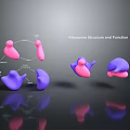Bacteria Eukaryotic cell Cross section Cell structure Cell tissue Anatomical organ 3d model