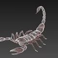 Two Detailed Realistic Scorpion Models In Brown And Golden Tones On Black Background